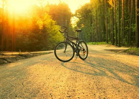 用智慧进退，过上乐观简单的生活