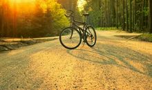 用知进退的智慧，乐观简单的生活