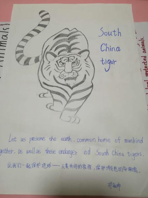 保护动物的英语句子