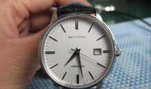 写海鸥的比喻句