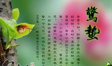 二十四节气相关谚语