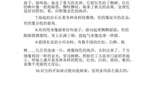 三年级必备比喻句