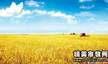 秋天气候的谚语