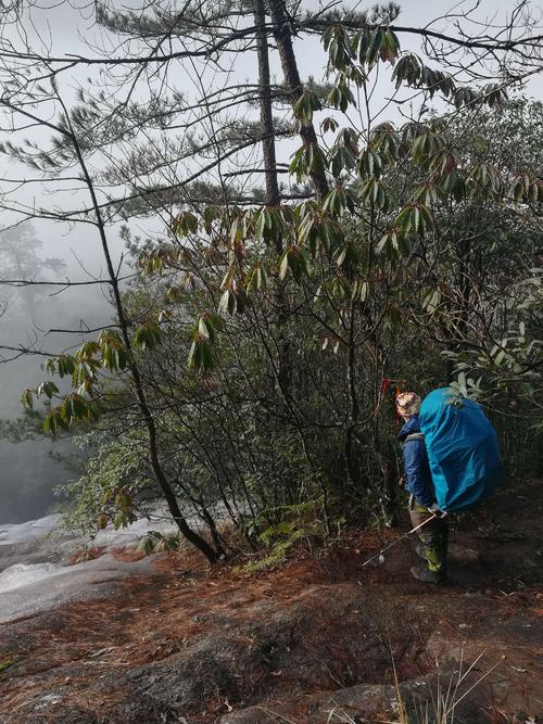 告别古老,迎接新年2019
