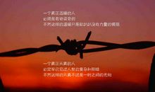 情感经典语录2020