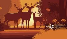 秋天的谚语英文