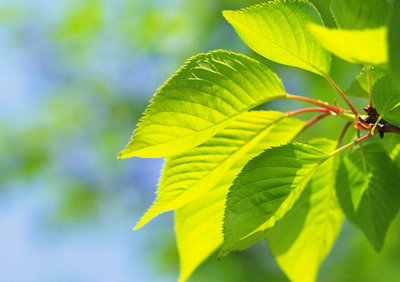 带有图片的优美句子：谁是唯一的童话，毕竟童话是童话1