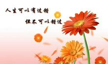 与爱心有关的名言