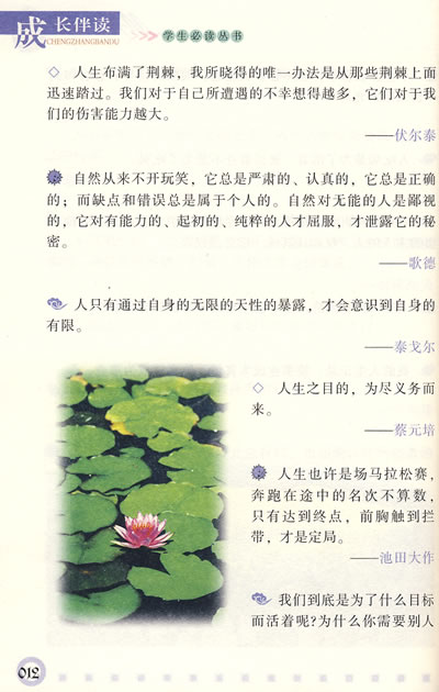 艺术学习中的谚语