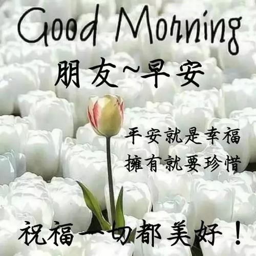 星期五的祝福2019