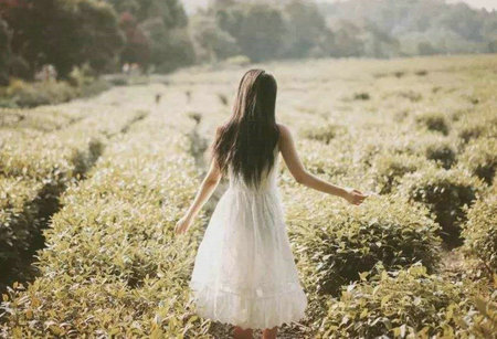 活自己的树,活很多年,活得好,活得好1