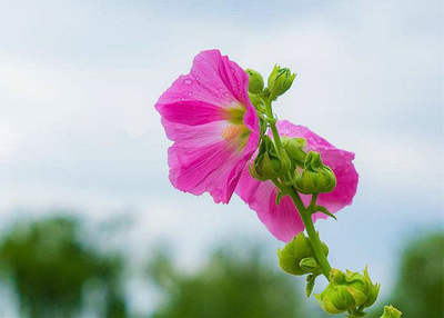 为了未来更好，现在有什么苦涩？ 1个