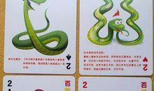 与蛇有关的谚语