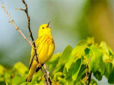 为了未来更好，现在有什么苦头