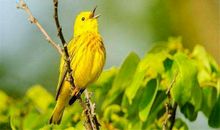 为了未来好一点，现在苦一点有什么