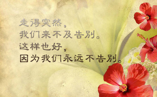 世界上真爱的美丽句子