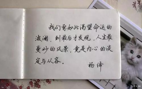 斗隐鼓励学习句子