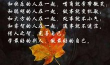 人生快乐的句子