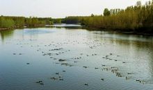 表示自然风光的成语