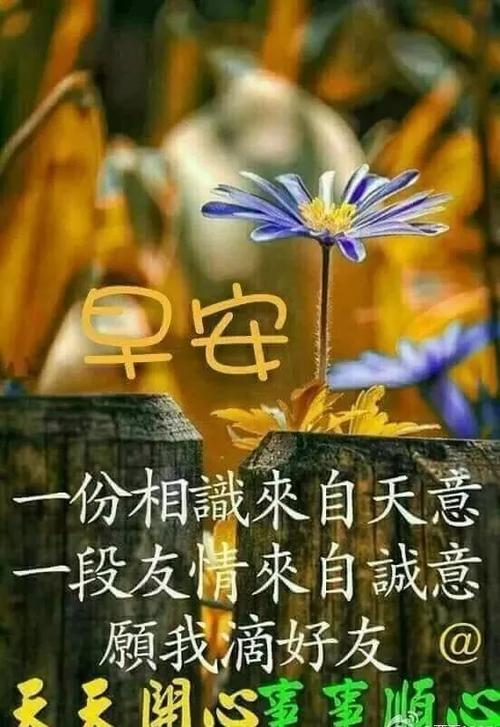 希望在周末的夜晚