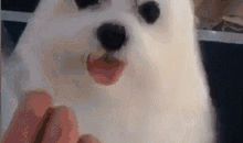 电线杆上耍把戏歇后语