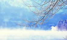 冬景色的拟人句