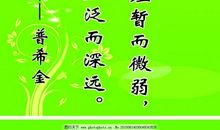 读书读的多谚语