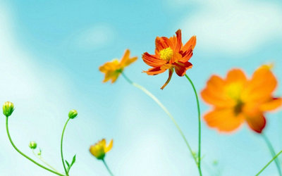 一整套描述生活感知的句子[236个句子]