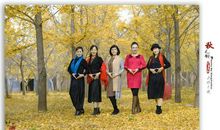 树叶黄了拟人句