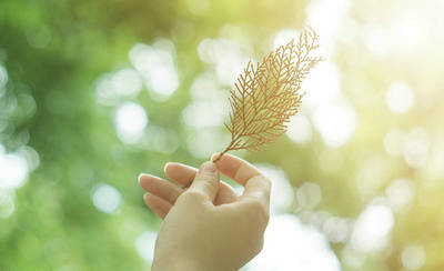 哲学上的一句话使人们变得充满阳光:生活是面对现实和微笑,克服障碍并展望未来1