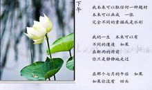 席慕蓉经典名句