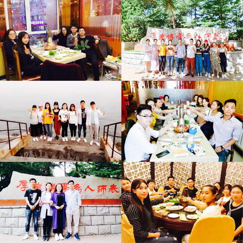 数学系新年祝福