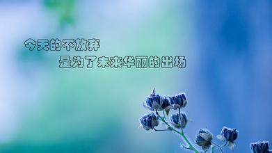 关于不放弃的句子