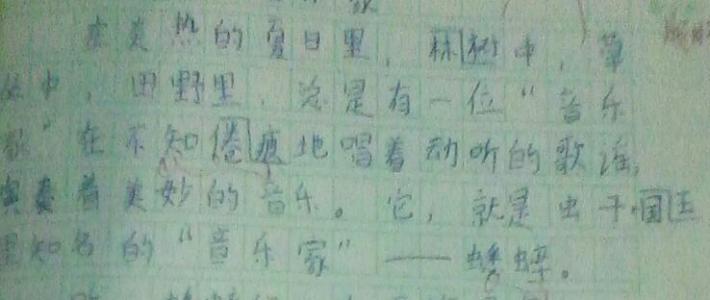 一个包含50个单词的美丽的隐喻句子