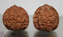 八月的核桃歇后语