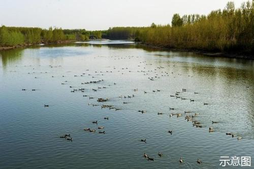 关于自然风光的习语