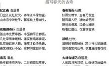 夏天优美的句子