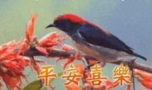 周一快乐祝福语