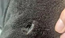 人间真情的箴言