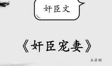 宦妃天下经典语录