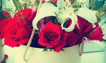 做个独立的女人的格言