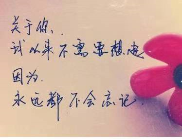 一句话感动人心