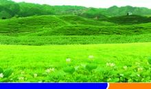 煤矿井下安全标语