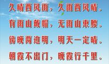 小学生关于花的谚语