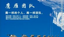 关于团队精神的句子