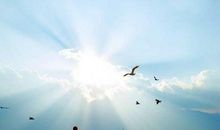 赞美女人经济独立语录