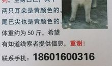 狗年春节感恩短信