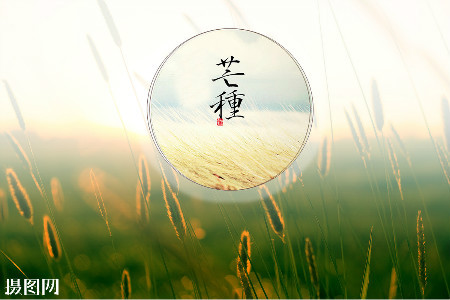 与忙农有关的谚语