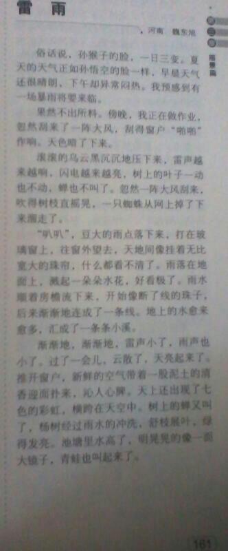 关于雨的描述片段