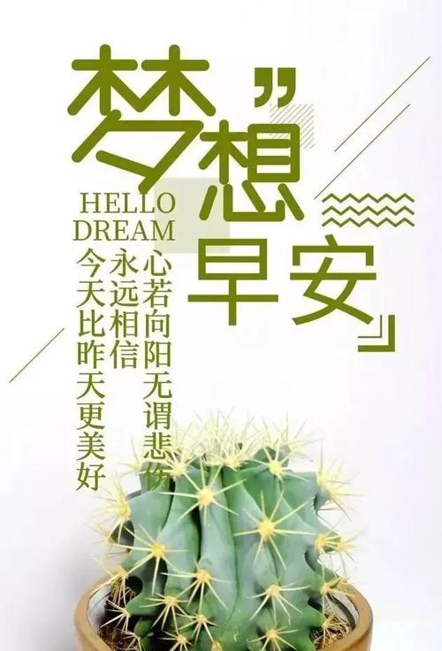 阳光下的生活